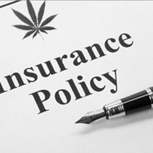 Cannabis Dispensary Insurance Policy